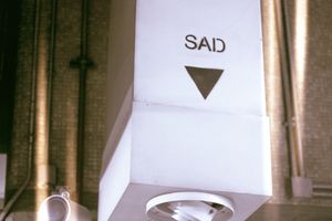 Emosjonsfokusert terapi